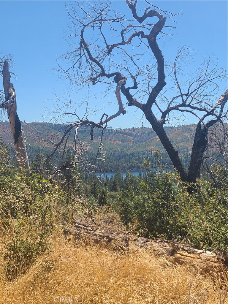 0 HOG RANCH ROAD Property Photo 1
