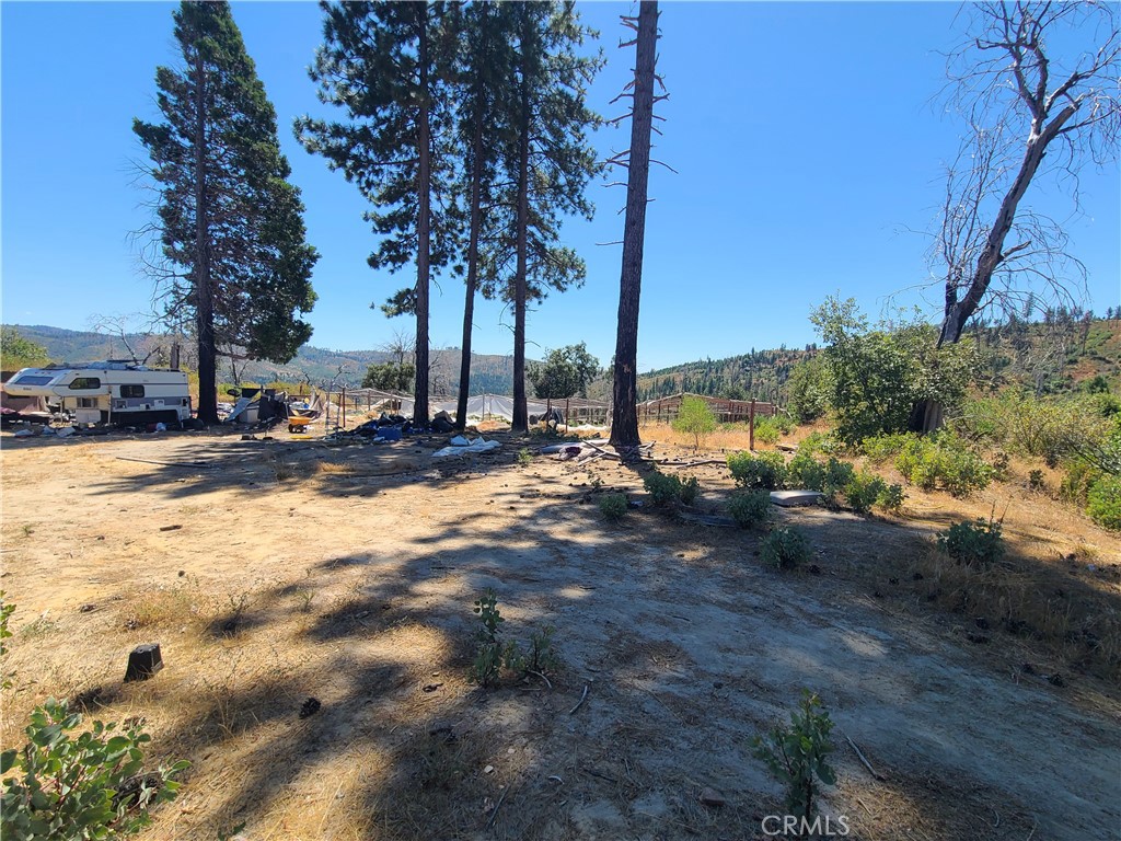 0 Hog Ranch Road Property Photo 2