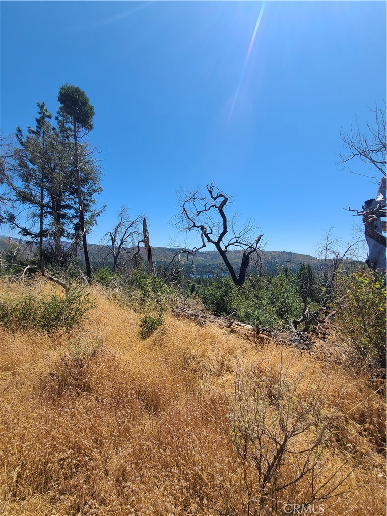 0 Hog Ranch Road Property Photo 4