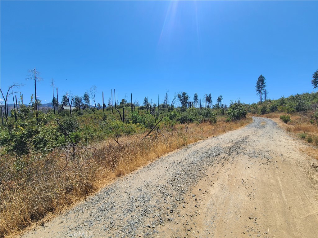 0 HOG RANCH ROAD Property Photo 1