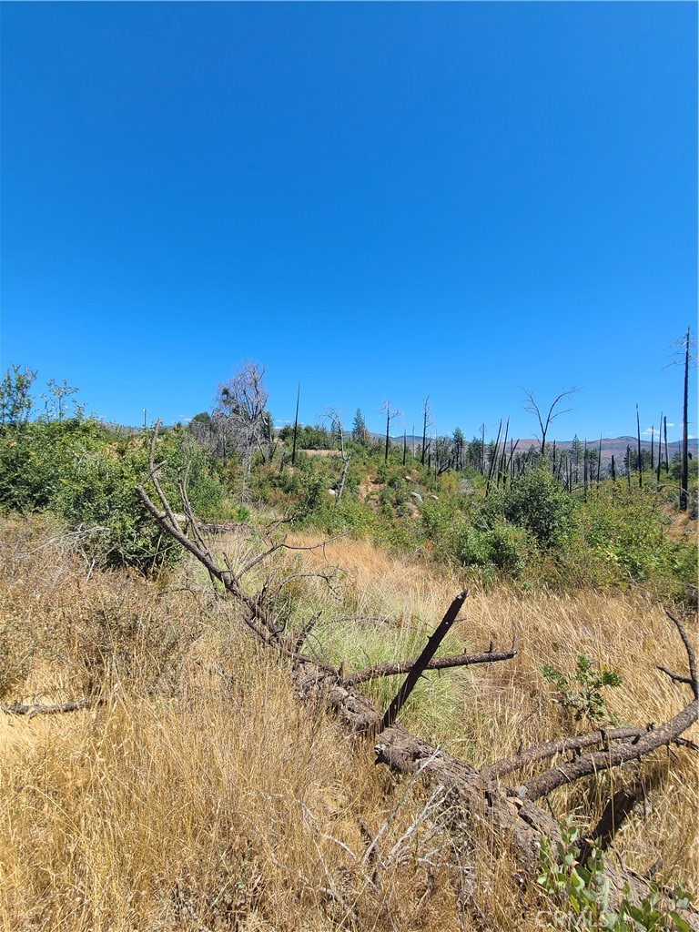 0 Hog Ranch Road Property Photo 2
