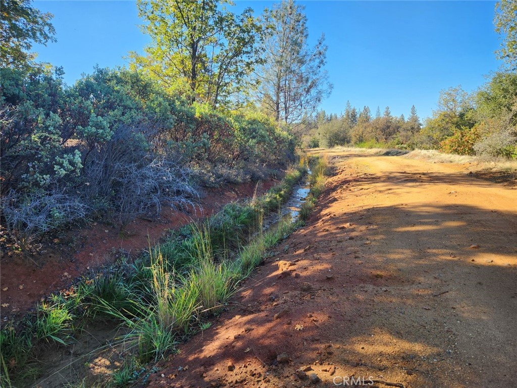 14444 Labadie Property Photo 2