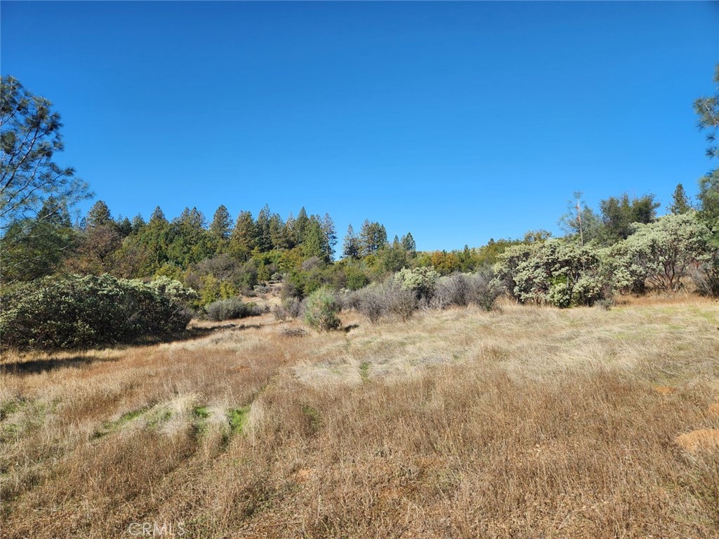 14444 Labadie Property Photo 3