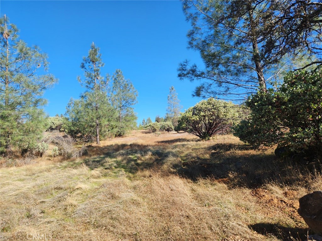 14444 Labadie Property Photo 4