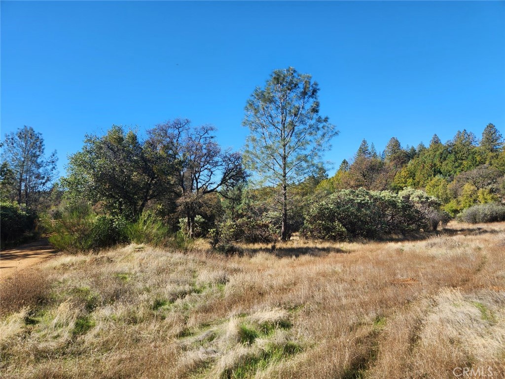 14444 Labadie Property Photo 5