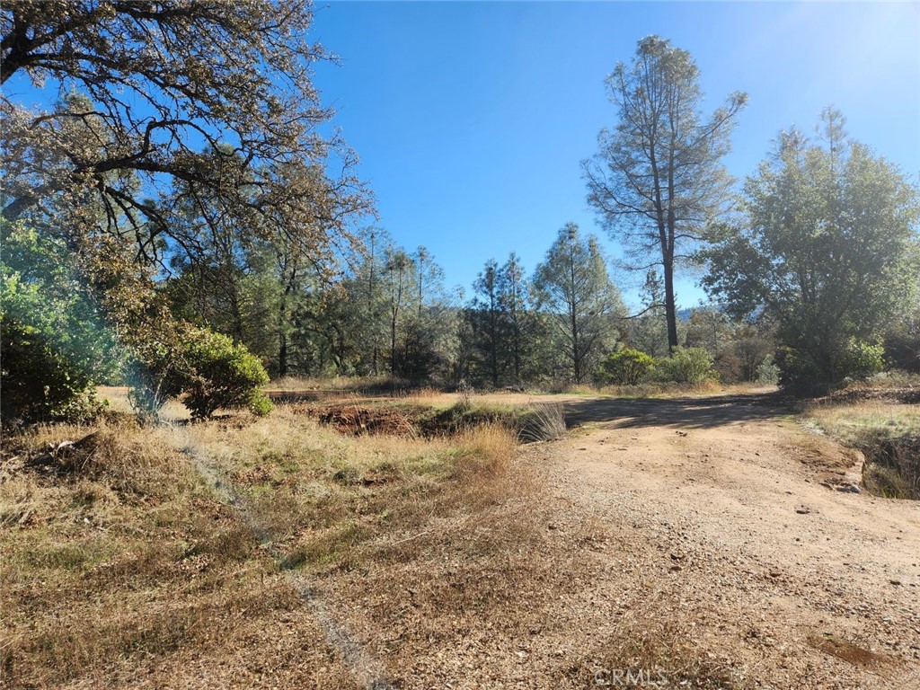 14444 Labadie Property Photo 6