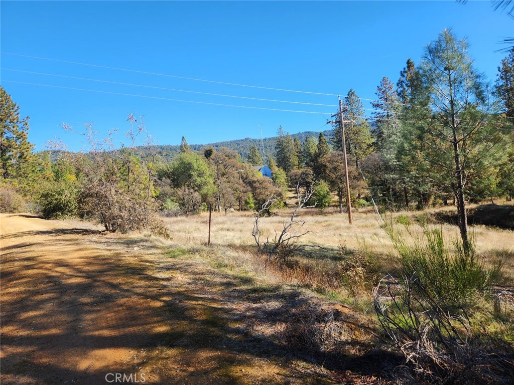 14444 Labadie Property Photo 8