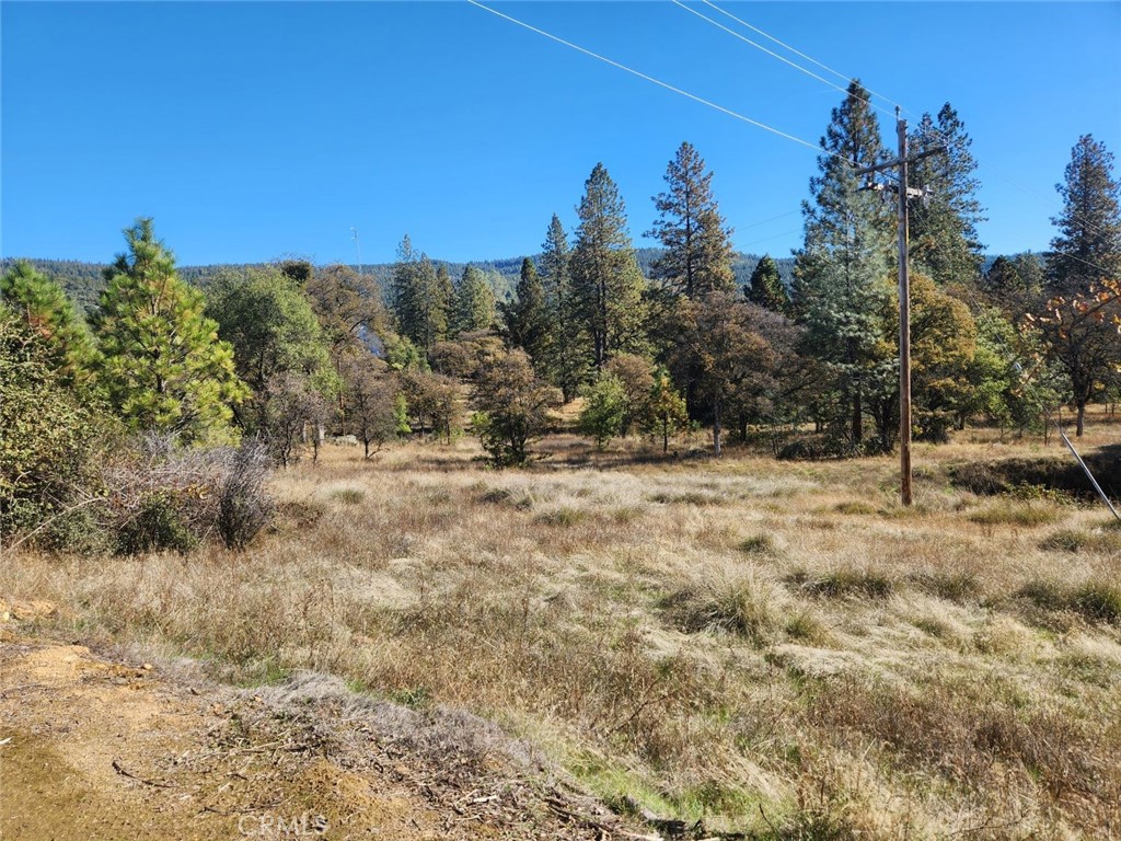 14444 Labadie Property Photo 9