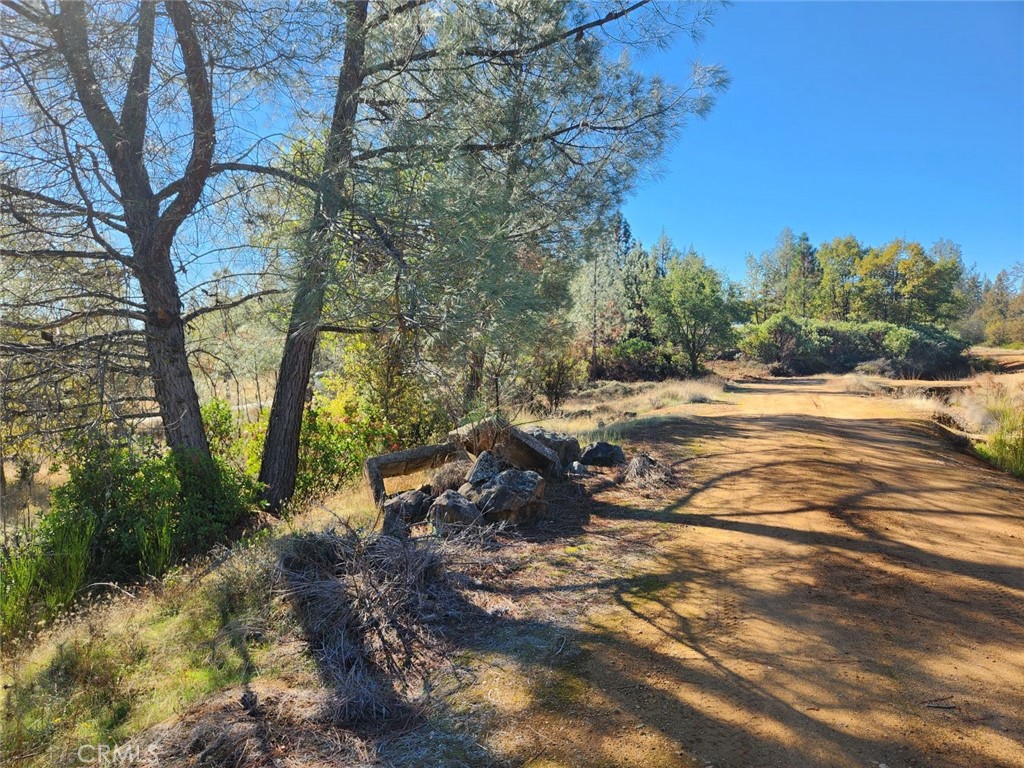 14444 Labadie Property Photo 13