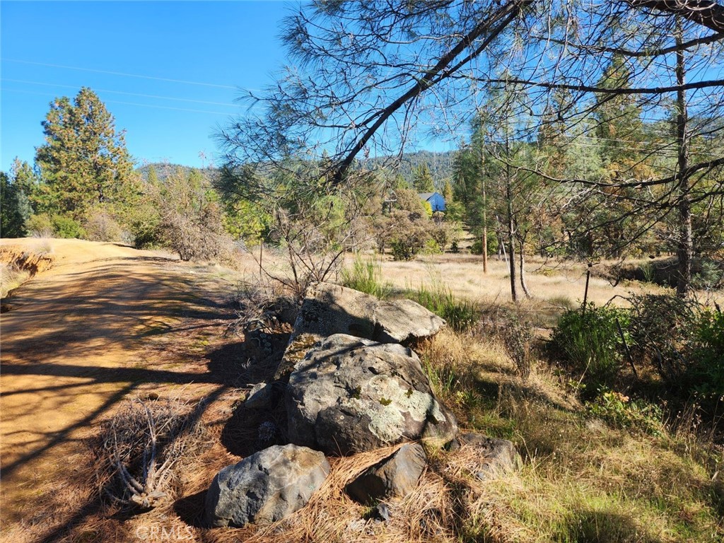 14444 Labadie Property Photo 14