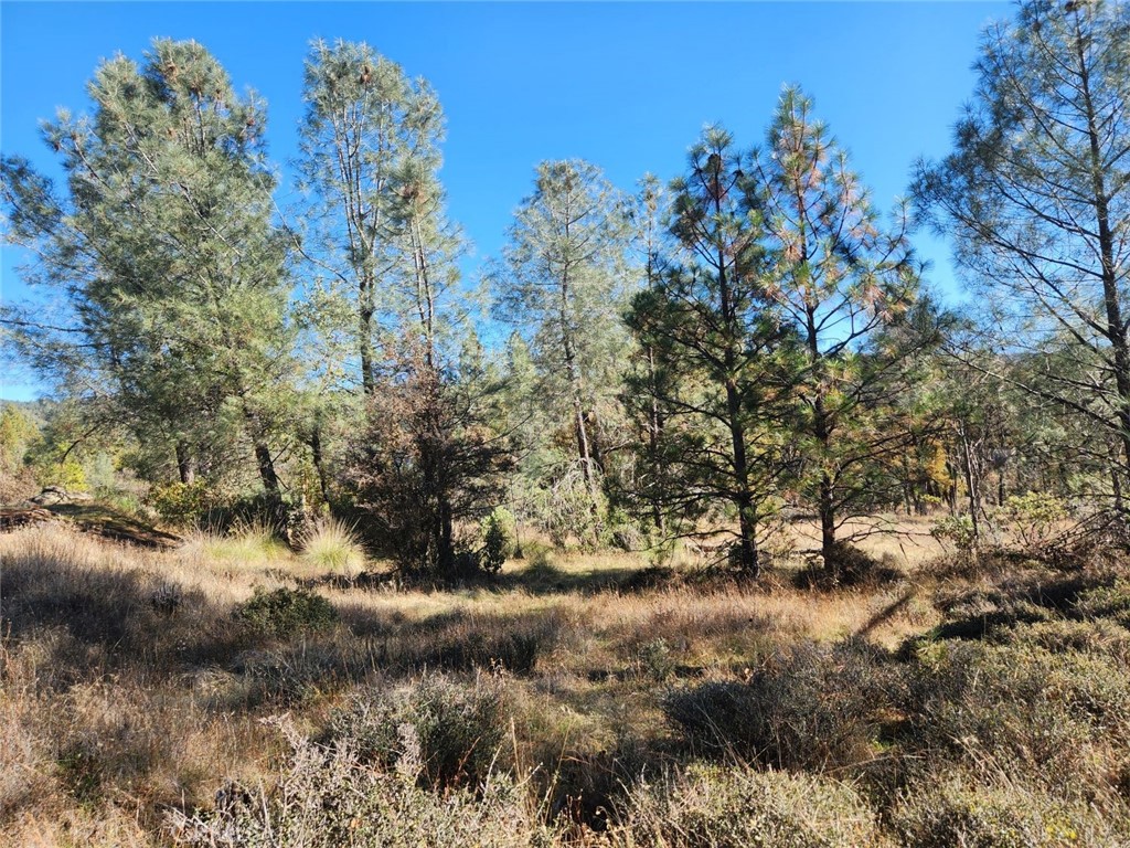 14444 Labadie Property Photo 15