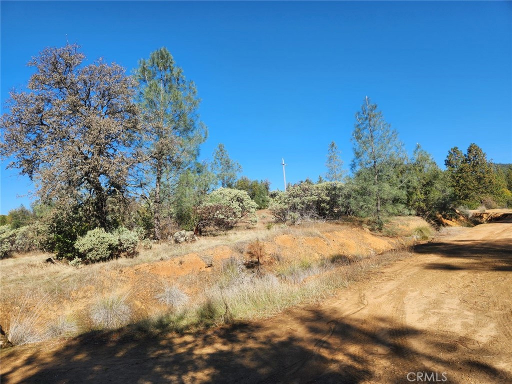 14444 Labadie Property Photo 16