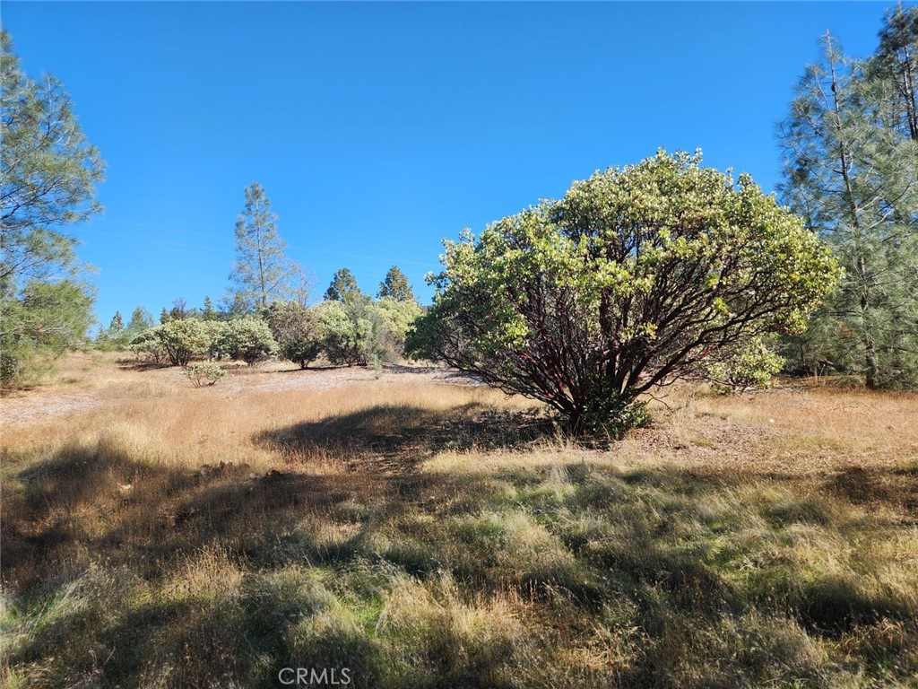 14444 Labadie Property Photo 17