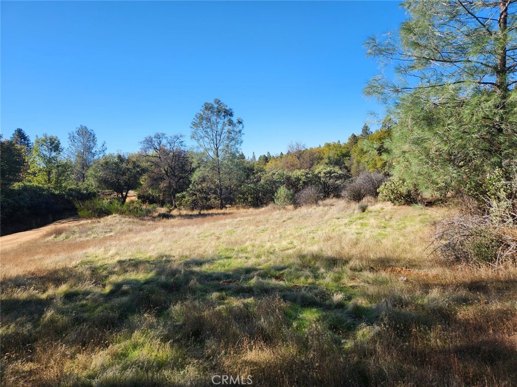 14444 Labadie Property Photo 18