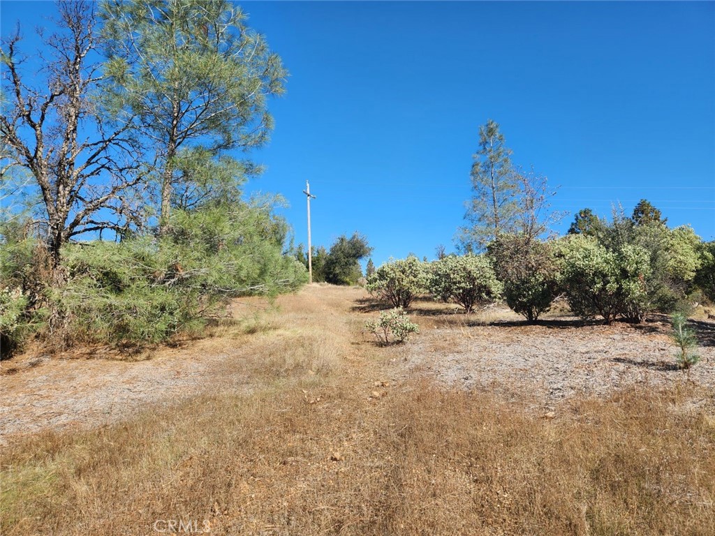 14444 Labadie Property Photo 19
