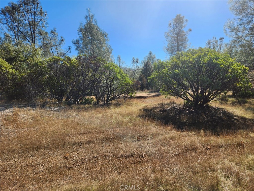 14444 Labadie Property Photo 20