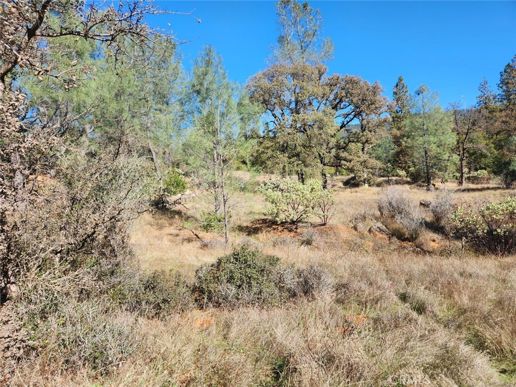 14444 Labadie Property Photo 21