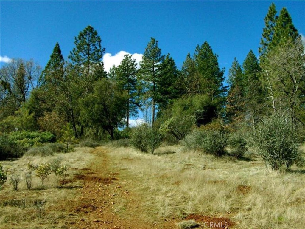 14444 Labadie Property Photo 22