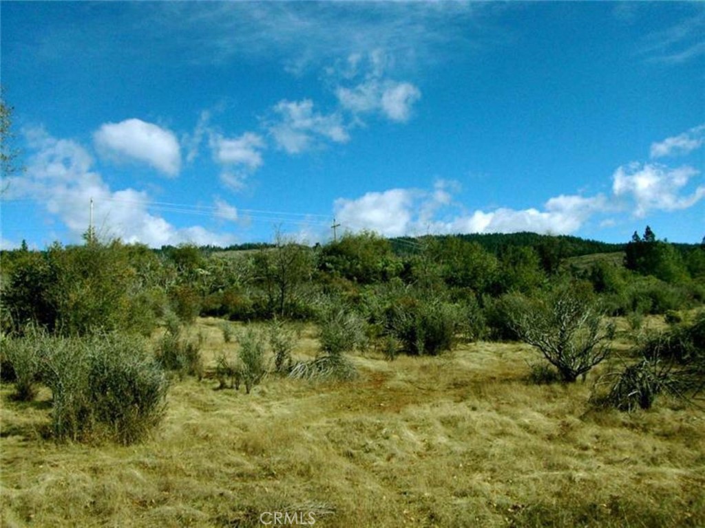 14444 Labadie Property Photo 23