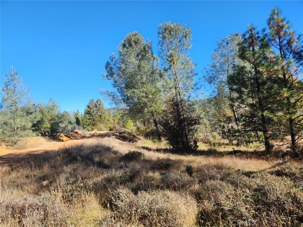14444 Labadie Property Photo 24