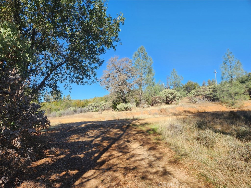 14444 Labadie Property Photo 25