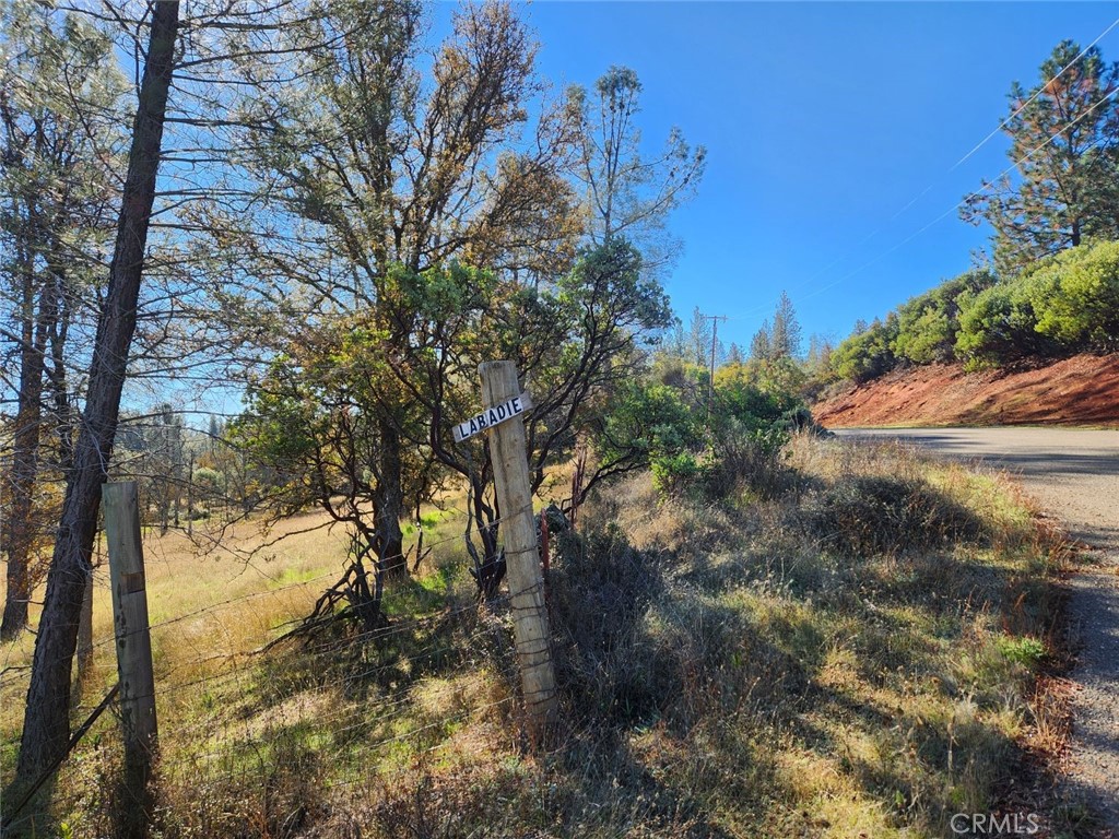 14444 Labadie Property Photo 26