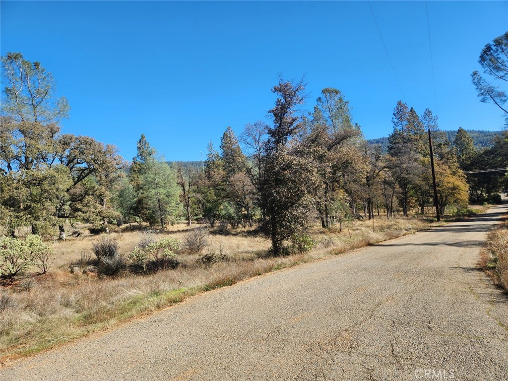 14444 Labadie Property Photo 27