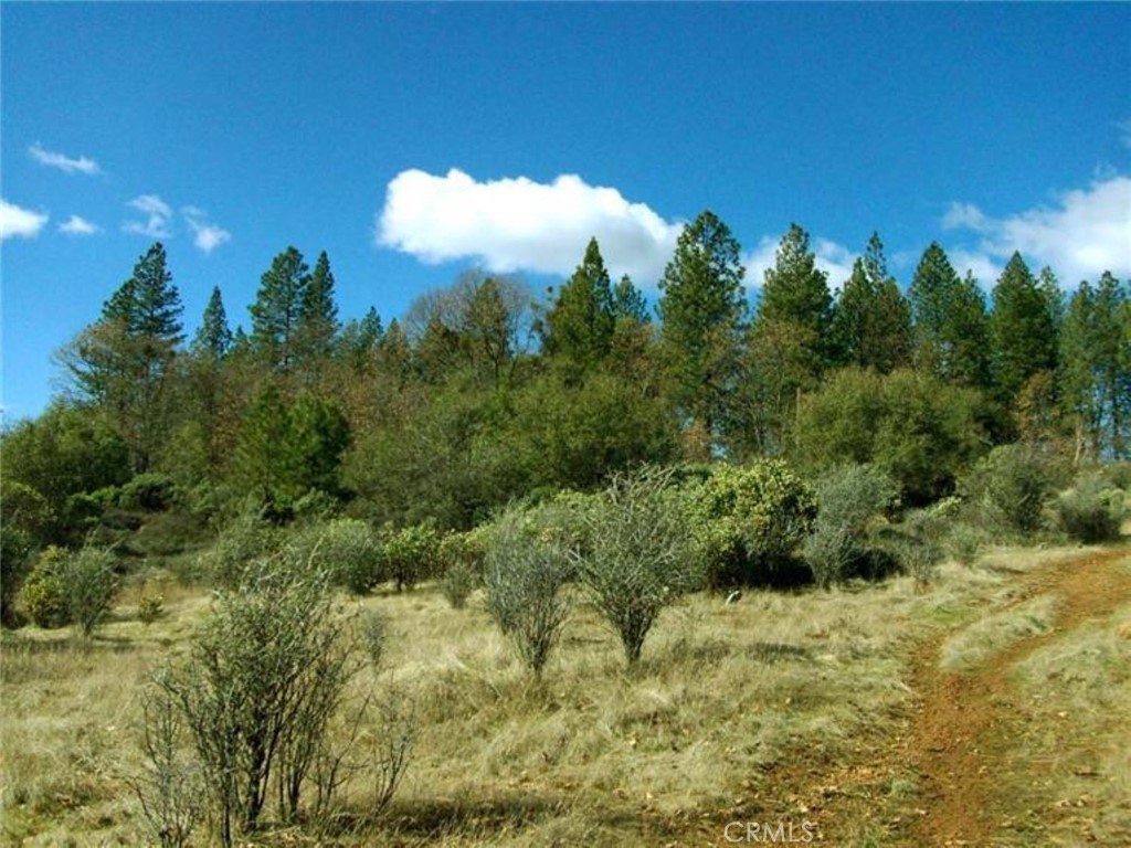 14444 Labadie Property Photo 28