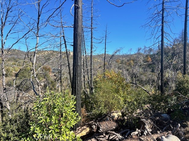 0 Craig Access Property Photo 6