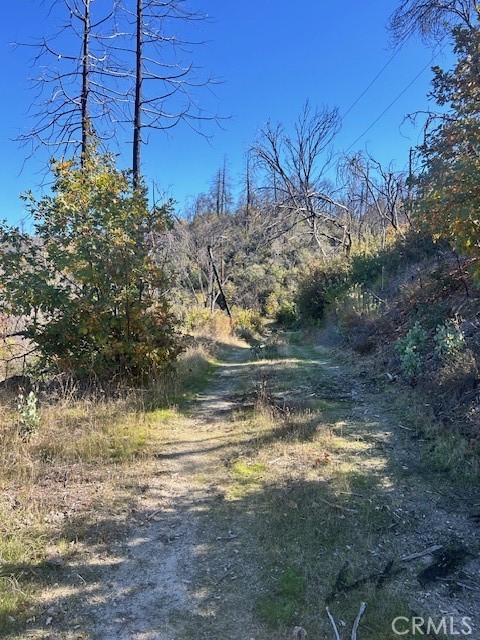 0 Craig Access Property Photo 7
