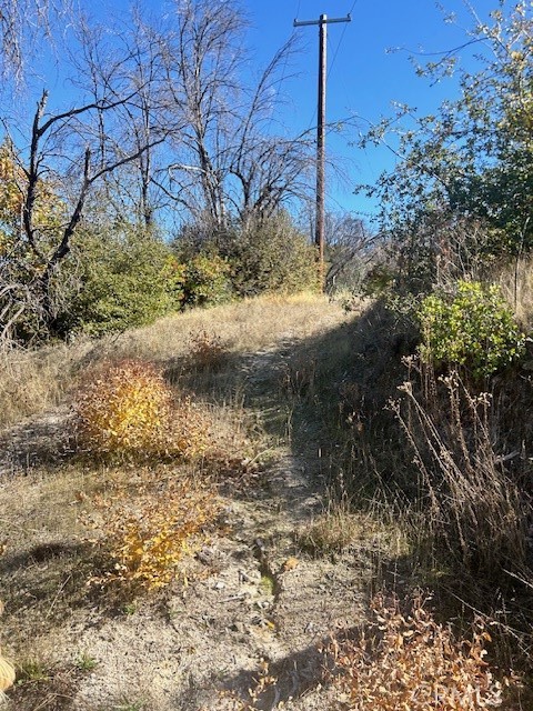 0 Craig Access Property Photo 8