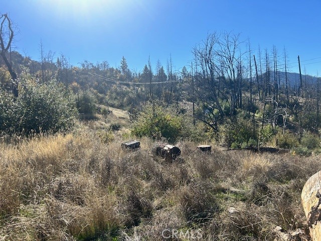 0 Craig Access Property Photo 13