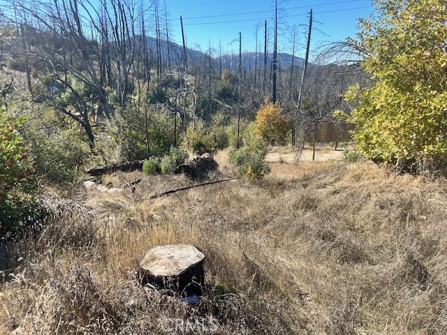 0 Craig Access Property Photo 14