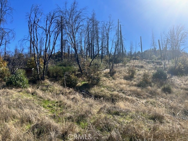 0 Craig Access Property Photo 15