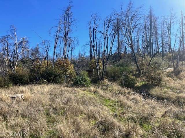 0 Craig Access Property Photo 16