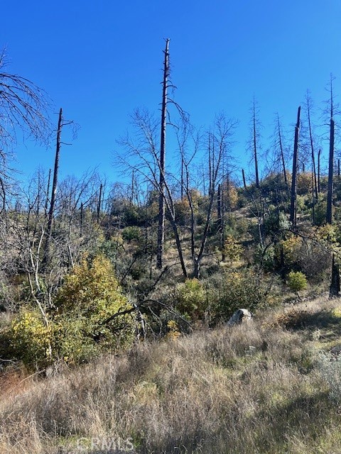 0 Craig Access Property Photo 18