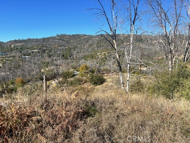 0 Craig Access Property Photo 19