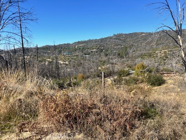 0 Craig Access Property Photo 20