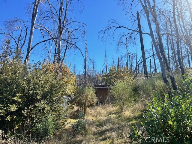 0 Craig Access Property Photo 21