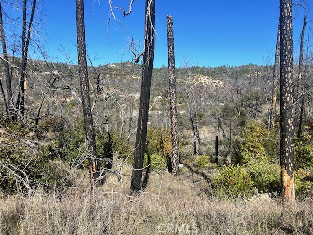 0 Craig Access Property Photo 24