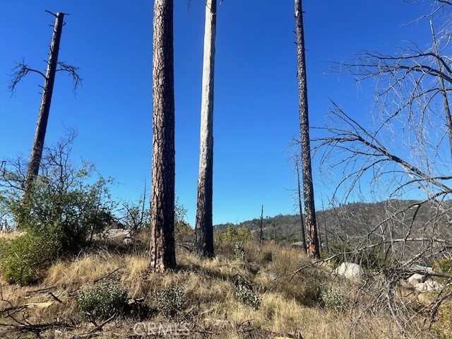 0 Craig Access Property Photo 25