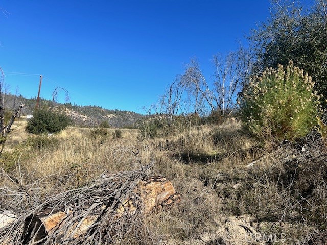 0 Craig Access Property Photo 27