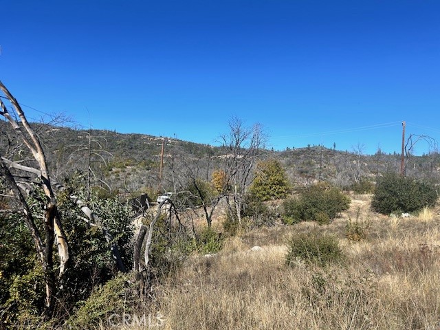 0 Craig Access Property Photo 31