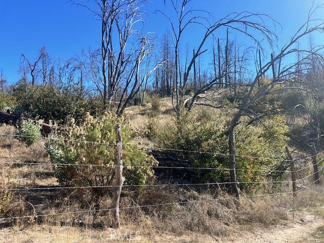 0 Craig Access Property Photo 34