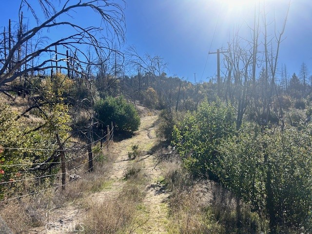 0 Craig Access Property Photo 35
