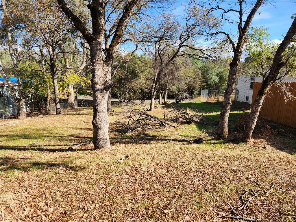 590 Lodgeview Drive Property Photo 3