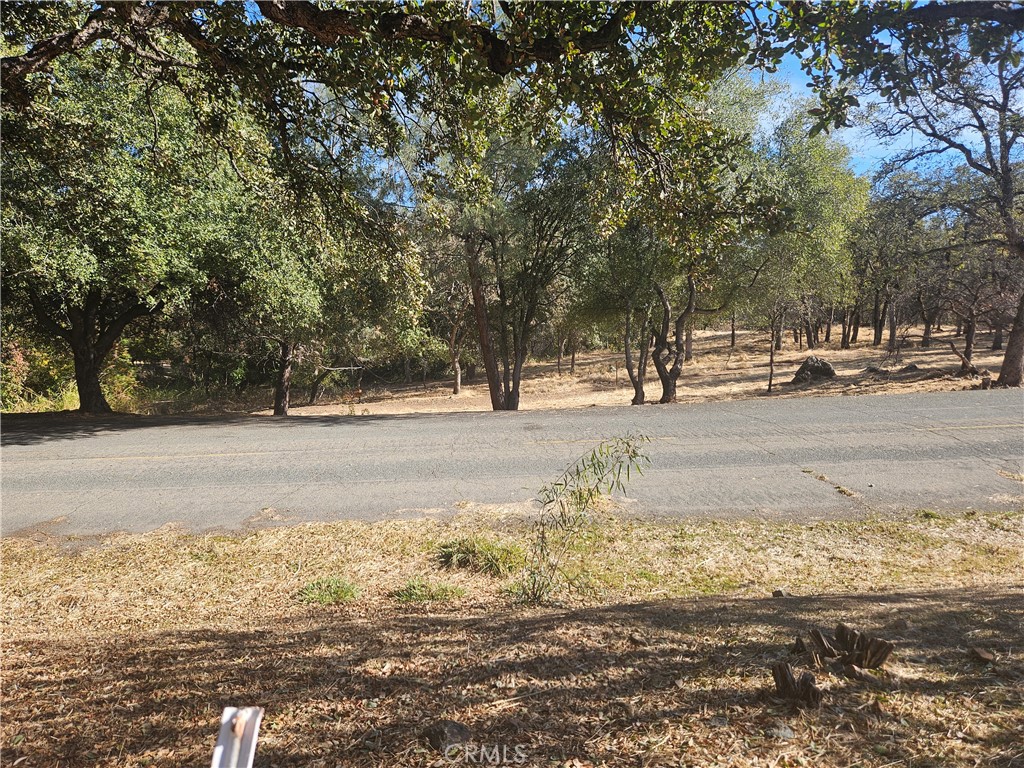 590 Lodgeview Drive Property Photo 5