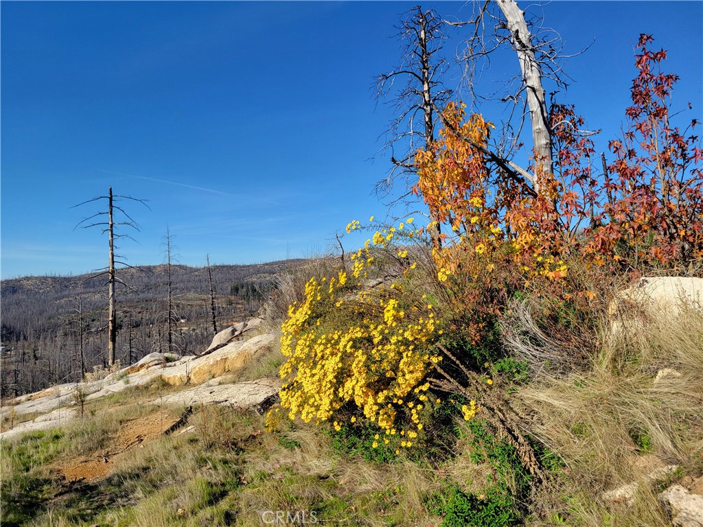 161 Shadow Creek Road Property Photo 1