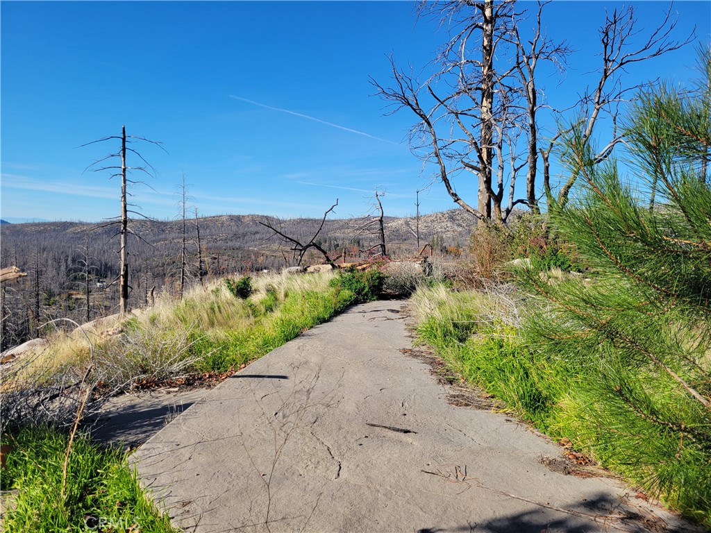 161 Shadow Creek Road Property Photo 2