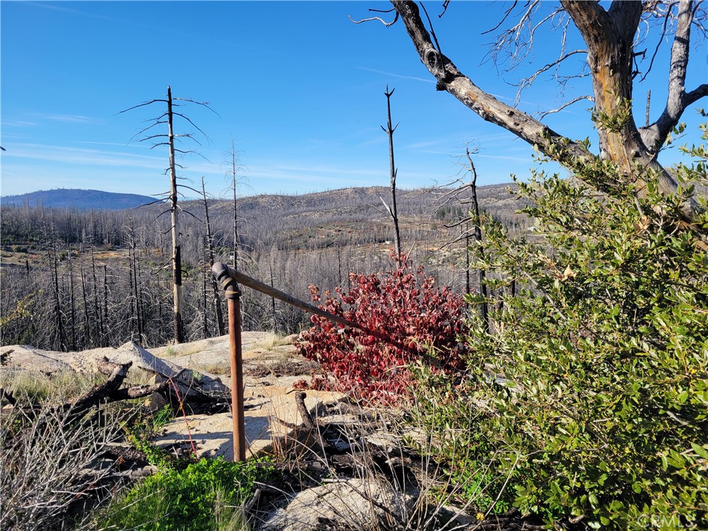 161 Shadow Creek Road Property Photo 3